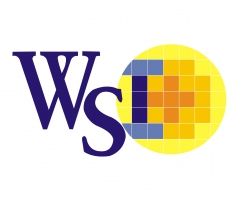 WiseChip объявил о скором внедрении гипер-флуоресцентных TADF эмиттеров в OLED дисплеях