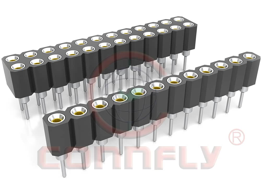 DS1002-13