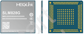 SLM828G-EU-12